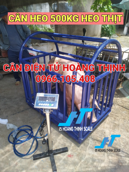 Cân heo điện tử 500kg lồng cân 2 con được CÔNG TY CÂN ĐIỆN TỬ HOÀNG THỊNH thiết kế lắp đặt cho các trang trại chăn nuôi heo, anh chị có nhu cầu liên hệ 0966.105.408