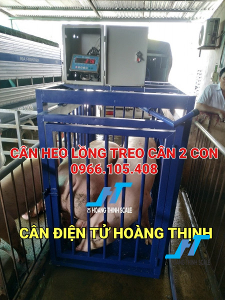 Cân heo điện tử lồng treo cảm biến trên được CÂN ĐIỆN TỬ HOÀNG THỊNH lắp đặt được nhiều trang trại chăn nuôi heo tin dùng sử dụng, báo giá cân điện tử liên hệ 0966.105.408